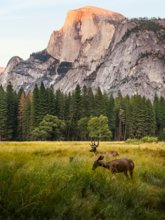 The Best Places on Earth to Reconnect with Nature3 weeks ago
