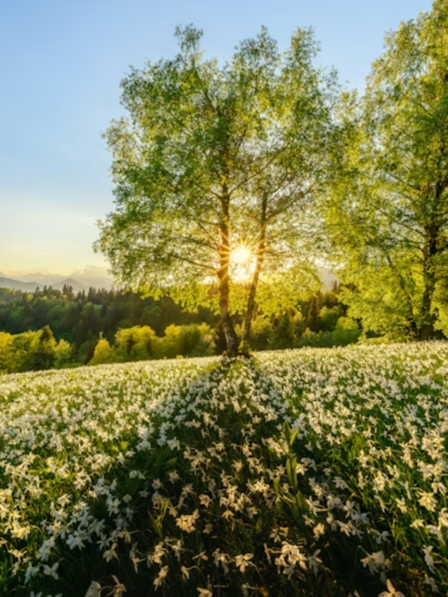 Passport to Spring: 8 Must-Visit Global Getaways to Book Now4 weeks ago