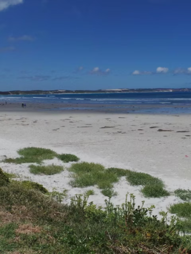 Must-Visit White Sand Beaches48 minutes ago