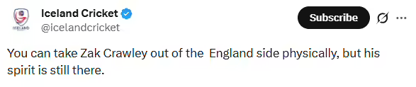 ​Iceland cricket post