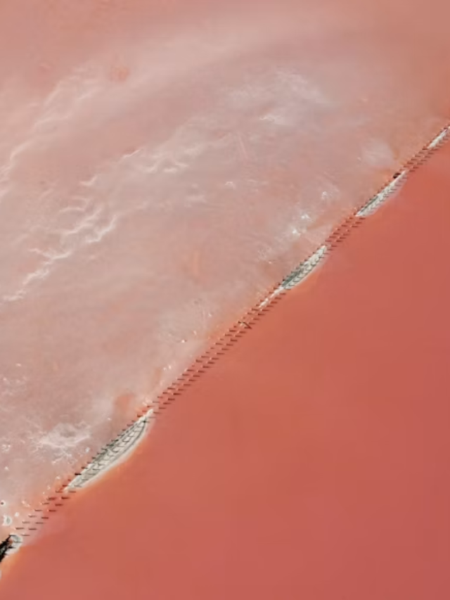 Breathtaking pink lakes around the world48 minutes ago