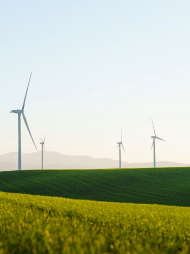 Indian villages leading in sustainability initiatives1 day ago